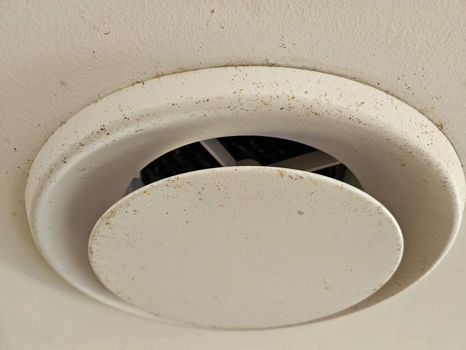 Ducted vent